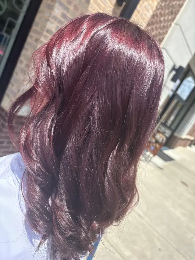 Rich burgundy plum fashion color with glossy dimensional shine
